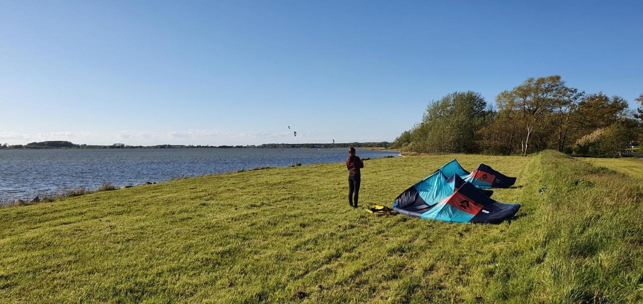 Rotdorn * Wiek auf Rügen